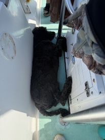 Everyone\u2019s favorite part of our vacation