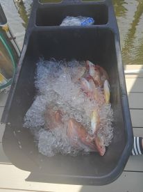 No better day than with Better Days