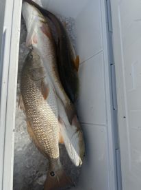 Excellent time caught our limit of redfish
