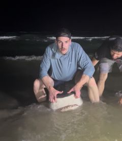 11\u2019 Tiger Shark