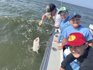 Hammered the sharks!