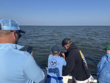 Hammered the sharks!