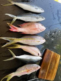 Captain Donald is great!!