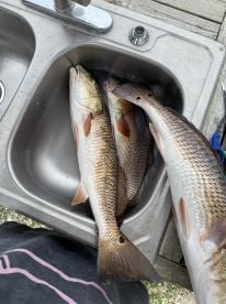 Great Fishing and Great Memories