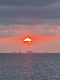 Book Reel Hook Guide IMMEDIATELY!