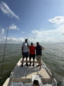 Book Reel Hook Guide IMMEDIATELY!