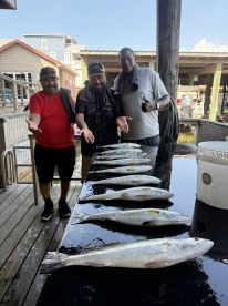 Book Reel Hook Guide IMMEDIATELY!