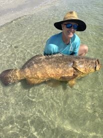 On fish at every stop