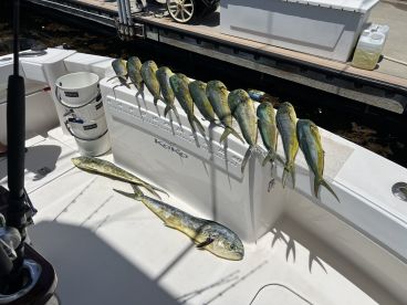 Great day of fishing