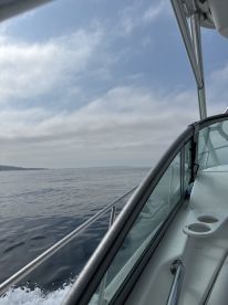 Captain Pablo was great. 