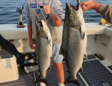 So much salmon . . . 