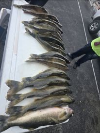 Caption Mark sets a standard that I compare all other Captions I fish with to !