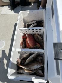 Great Cap and mate, put you on the fish!