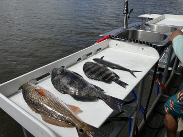 Awesome fishing trip