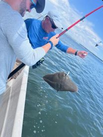 Great overall experience!!! 