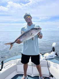 Great first experience! 