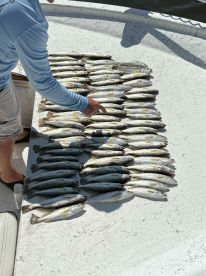 Great captin and deck hand !