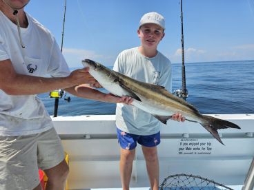 Reds, smacks, and Ling, oh my!