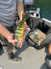 Captain Mike was amazing!!!!