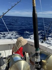 Afternoon half day charter