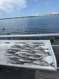 Wonderful Captain, excellent experience!