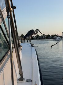 Please consider this crew.