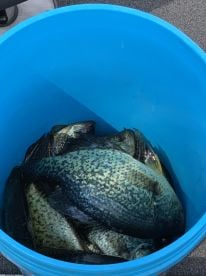 Great Guide!  Would use him again!