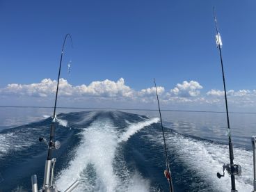 Great trip great catches!!!