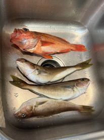 One-time experience for me \ud83e\udd19\ud83c\udfff