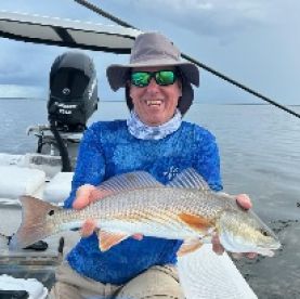 Encountered a lot of different species 