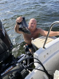 Great Day Scalloping