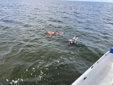 Great Day Scalloping