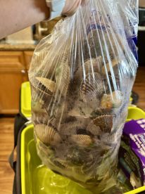 A great day for scalloping!