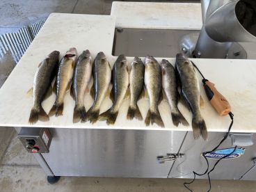 Great experienced captain & well equipped!