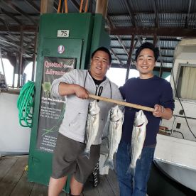 Half Day Trip with Stan