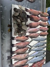 Book the trip, you won't regret it! Female Friendly!