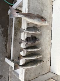 Great fishing Experience 