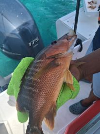 Best guide and charter hands down