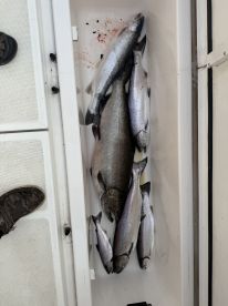 Great crew, great times