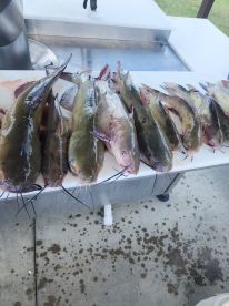 Fun learning experience 