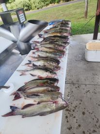 Fun learning experience 