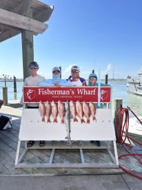 Everyone needs a little Controlled Chaos in their life!