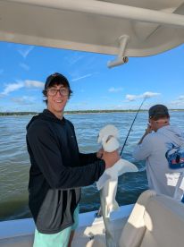 Sharks? Did you say sharks?