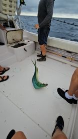 Captain Ethan will put you on the fish!