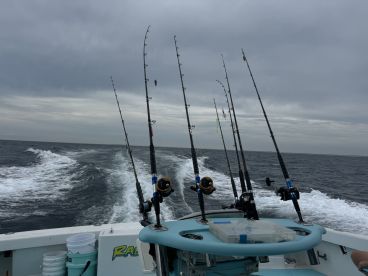 Excellent last minute near shore fishing