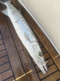 BEST DAY HIGHLY RECOMMEND 