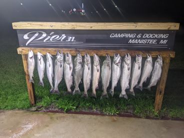 Great first time family experience 