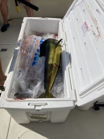 Best fishing trip we\u2019ve ever had!!