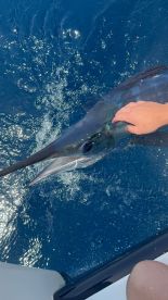 Great guys amd good fishermen