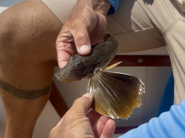 Fantastic day for kids and adults!